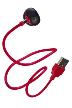 Nouveau ! Chargeur Magnétique Fun Factory