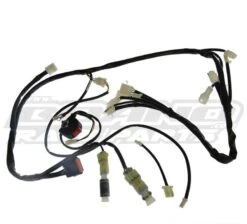 Faisceau Simplifié RR Usine Racing 2T 20-23