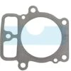 Joint De Culasse Pour Briggs & Stratton (693997)