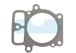 Joint De Culasse Pour Briggs & Stratton (693997)