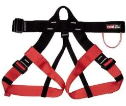 Roca HARNAIS LINUS COLLECTIVITE