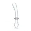 Dong Et Plug En Verre Classic Curved Dual Ended