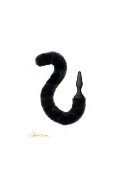Plug Anal Queue De Chat Noir